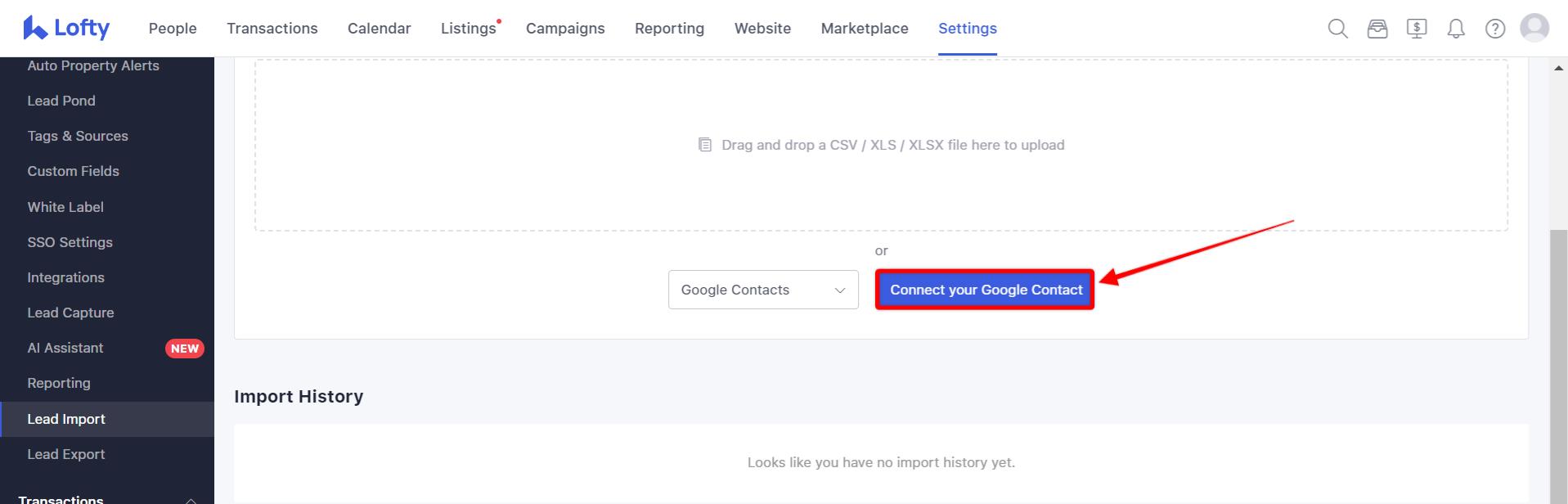 lead import google contacts option.jpeg