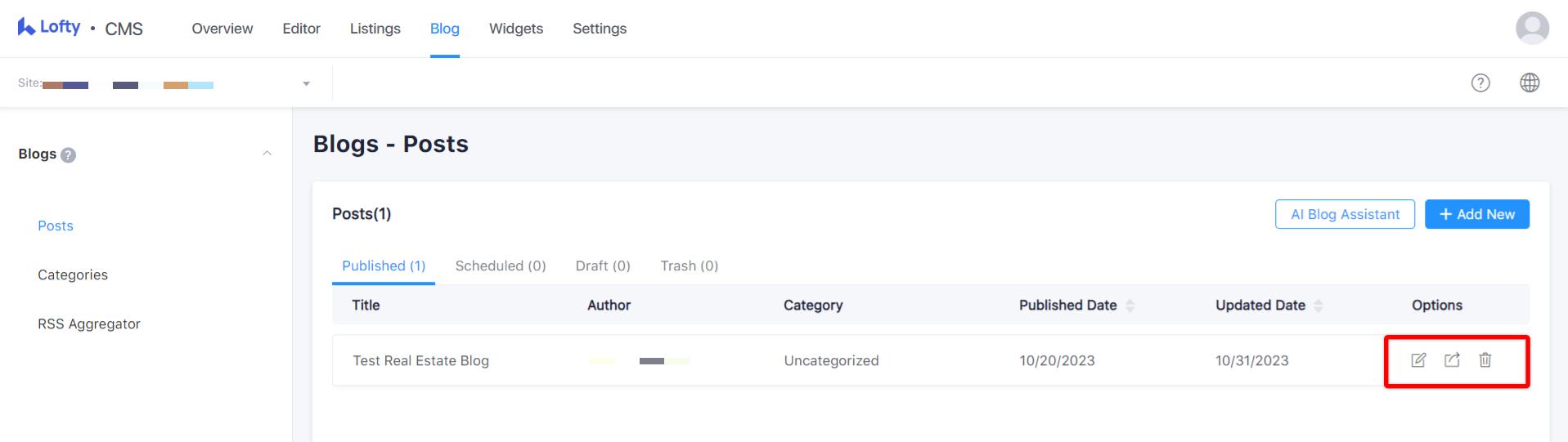 blog posts options.jpeg