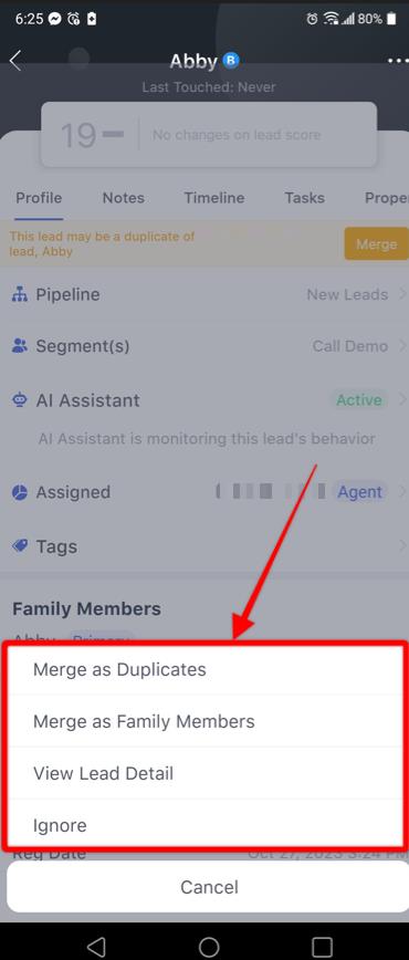 merge duplicate leads app version.jpeg