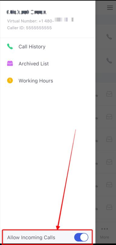app option allow incoming calls.jpeg