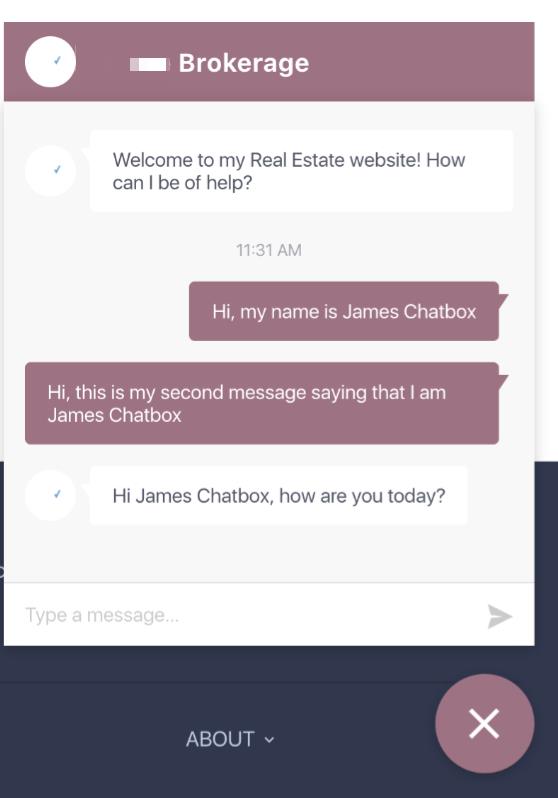 live chat preview.jpeg